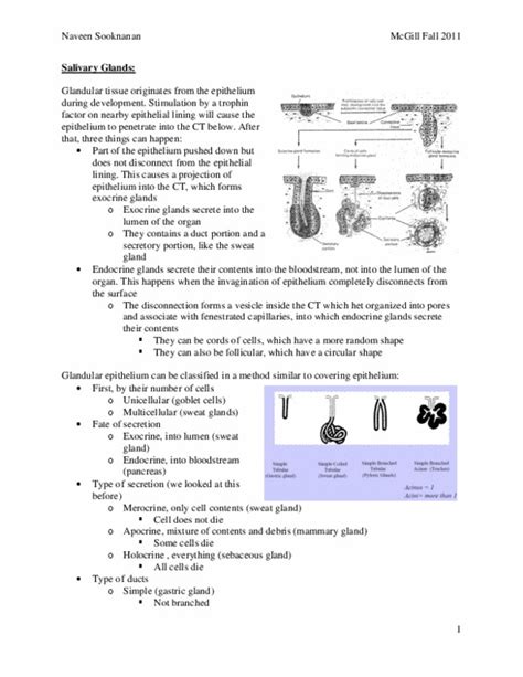 ANAT 261 Lecture Notes Fall 2011 Cardiac Muscle Intercalated Disc