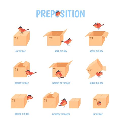 premium vector bird preposition preschool education topologia child