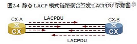 Lacp详解lacp协议 Csdn博客