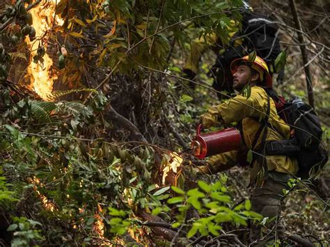 Recomiendan Incendios Controlados Para Evitar Grandes Siniestros