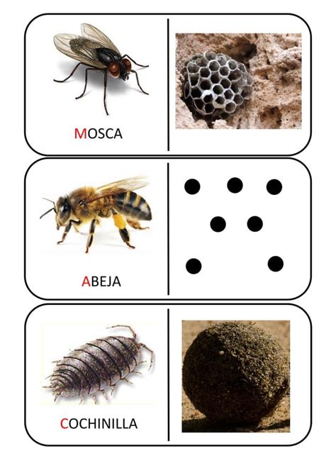 Dominó Bichos PDF