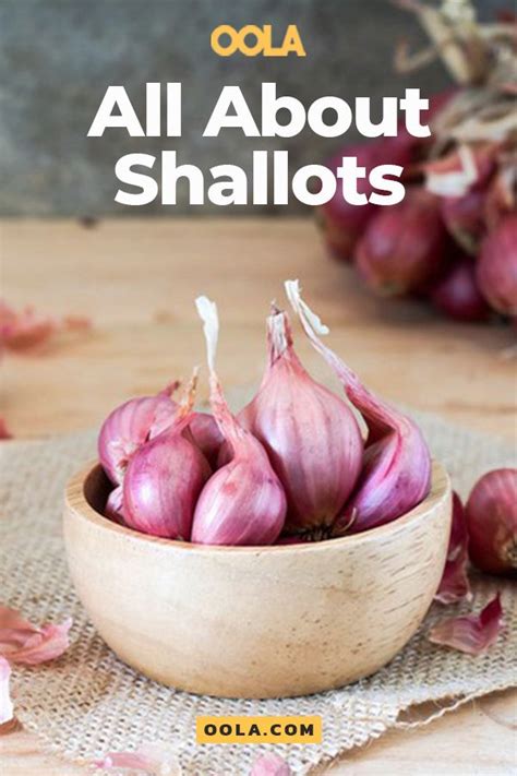 What Are Shallots And What Are They Good For Shallot Recipes