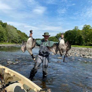 Goose Hunting | AfricaHunting.com