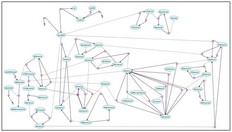 Diagram of PI3K-AKT and MAPK signaling pathways implemented into the ... 
