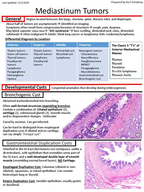 Mediastinum Tumors PDF | PDF | Thymus | Carcinoma