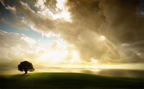 Sfondi Luce Del Sole Alberi Paesaggio Tramonto Natura Cielo