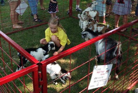 Farm Animal Petting Zoo Kimberly Public Library