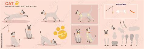 Cute Siamese cat, jumping, playing, multiple poses, positions. Vector ...