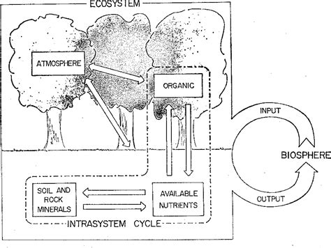 Figure 1 from Nutrient Cycling Small watersheds can provide invaluable ...