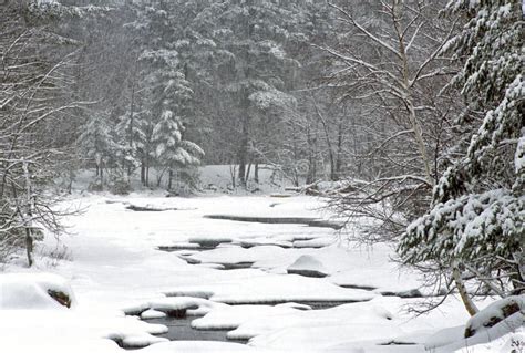 Winter blizzard stock image. Image of cold, rocks, white - 4364513