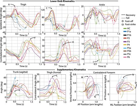 Kinematic Characterization For Early Swing Perturbations Lower Limb