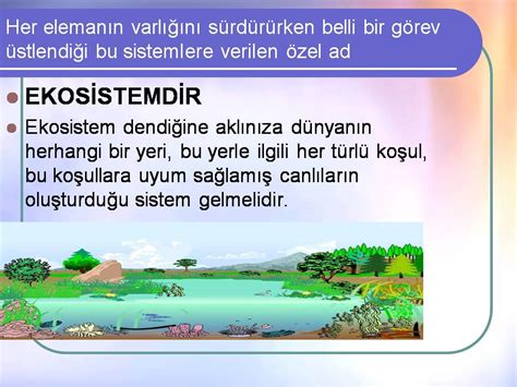 Ekosistem Nedir 7 Sınıf Fen 2015 2016