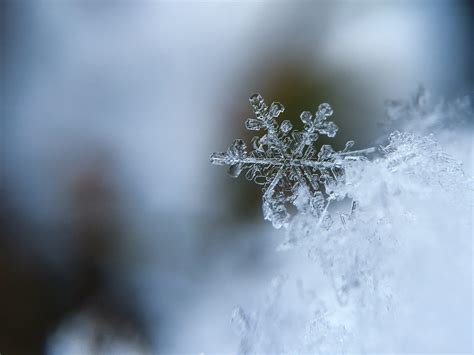 Close Up Snowflake Hd Wallpaper High Definition High Resolution Hd