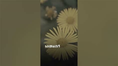 singer aster abebe mezmur christian song worship