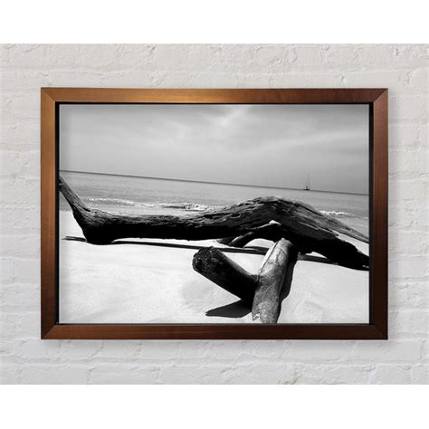 Haus Am Meer Gerahmtes Leinwandbild Ocean Drift Wood On The Shore B N W