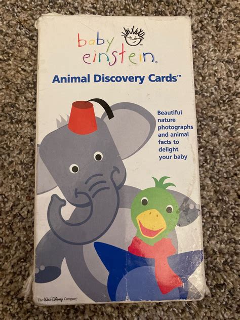 Baby Einstein Nature Discovery Cards