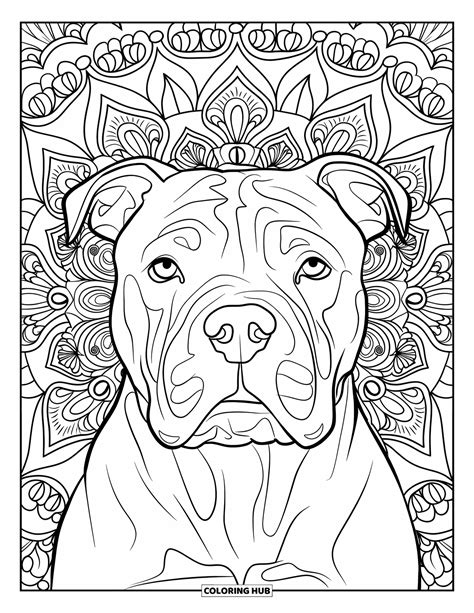 100+ Pitbull Coloring Pages for Kids & Adults (Free Printable PDFs)