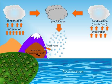 PPT - The Hydrosphere PowerPoint Presentation, free download - ID:4863602