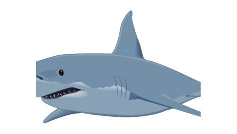 great white shark clip art - Clip Art Library