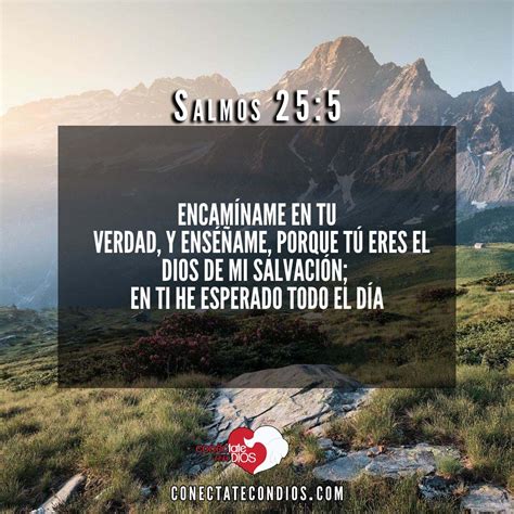 Los 7 Mejores Versículos de Esperar en Dios Conéctate Con Dios