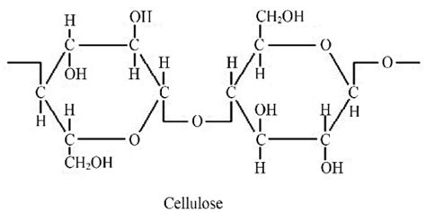 Cellulose - Zoefact