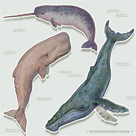 Whale stickers- Set2 by Woodenpencilbox on DeviantArt