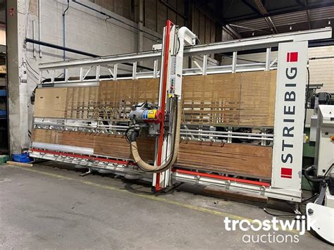 Striebig Standard Iii Trk A Vertical Panel Saw Troostwijk