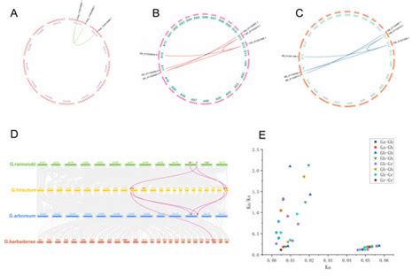 Genes Free Full Text Genome Wide And Expression Pattern Analysis Of