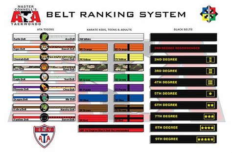 taekwondo belt color progression - Shenita Desimone