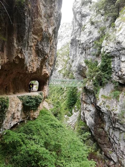 Fotos La ruta del Cares una de las más populares del norte de España