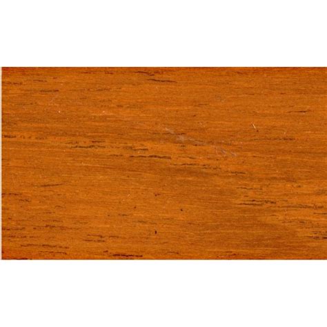 Jual Plitur Kayu Kecil Woodstain Cepat Kering Waterbased Biovarnish