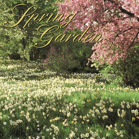 Spring Garden - Digital Funding Nature, New Age Dan Myers, George ...