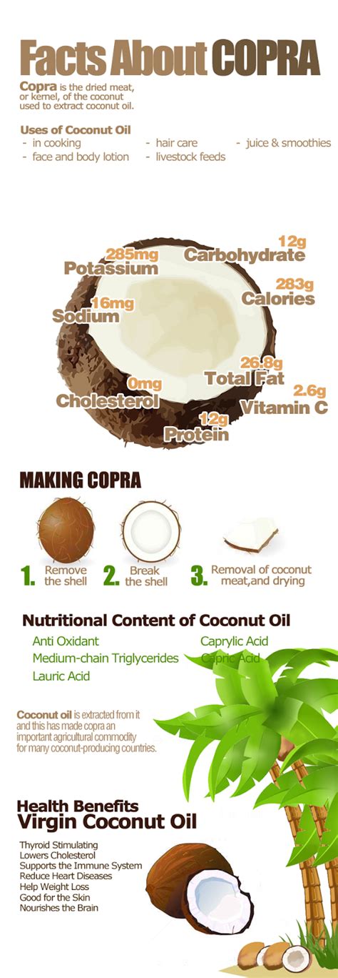 Beauty Behind Amber: How To Produce Virgin Coconut Oil - Copra