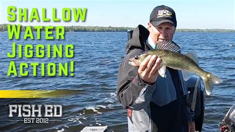 How To Jig For Walleye In Shallow Water Tips Tricks Fish Ed YouTube