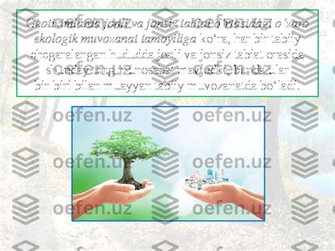 Tabiatni Muhofaza Qilishning Geografik Asoslari