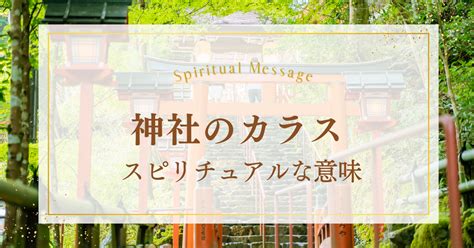 神社のカラスはスピリチュアルなサイン！意味やメッセージとは？