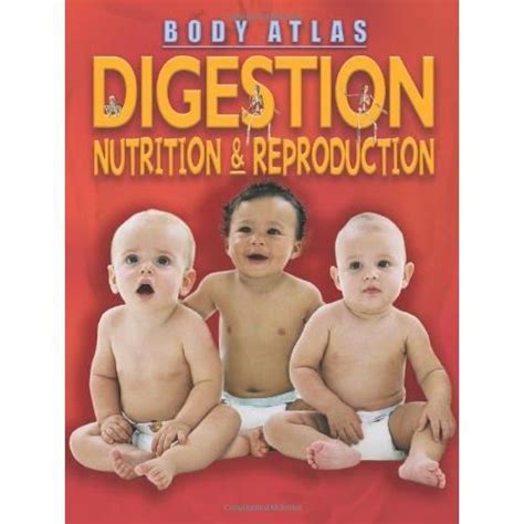 Digestion Nutrition And Reproduction Octopus Publishing Group Antic