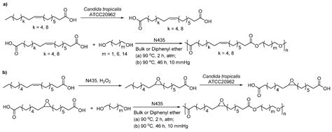 Polymers Free Full Text Enzymatic Synthesis Of Biobased Polyesters