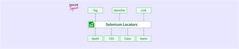 Locators In Selenium Scaler Topics