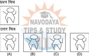 Navodaya Mental Ability Mock Test Navodaya Study