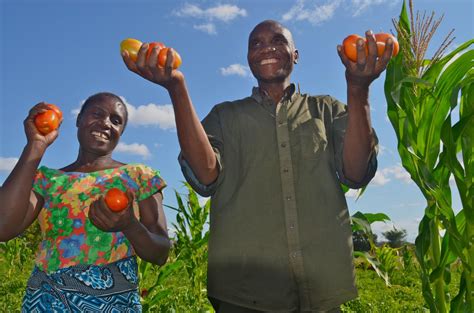 Agriculture and Food Security | Tanzania | U.S. Agency for ...