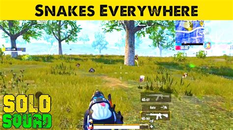 Snakes Everywhere In Solo VS Squad PUBG Mobile Lite Full Rush