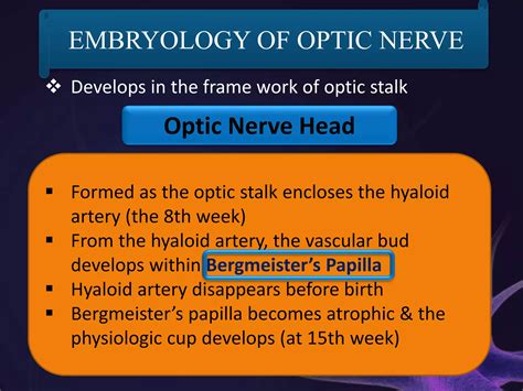 Anatomy of Optic Nerve | PPT