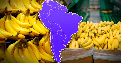 El País De Sudamérica Líder En Exportación De Plátano Del Mundo Supera A Brasil Y Colombia