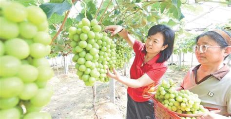 大众回眸·阳谷篇坚定信心、乘势而上，鼓足干劲、奋勇争先，为推动中国式现代化阳谷实践不懈奋斗腾讯新闻