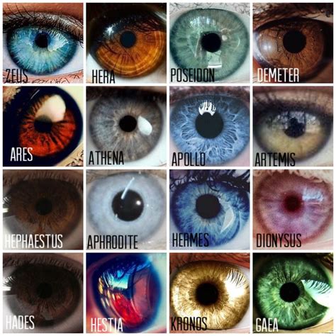 Eye Color Chart