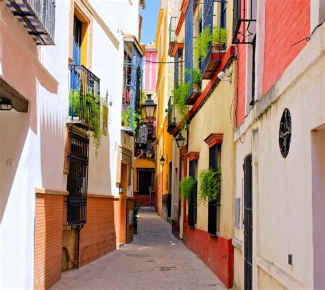 Barrio De Santa Cruz De Sevilla Cómo Llegar Qué Ver Visitas Guiadas