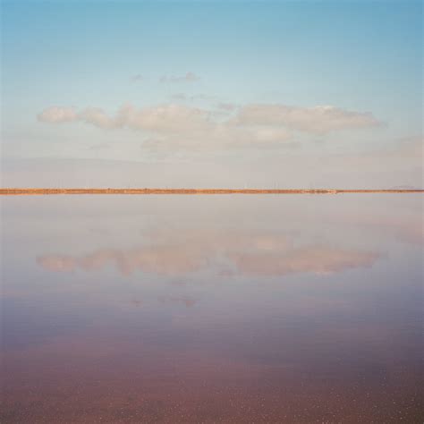 Salt Pond // Greg Heo