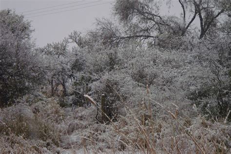 snow cold  photo  pixabay pixabay