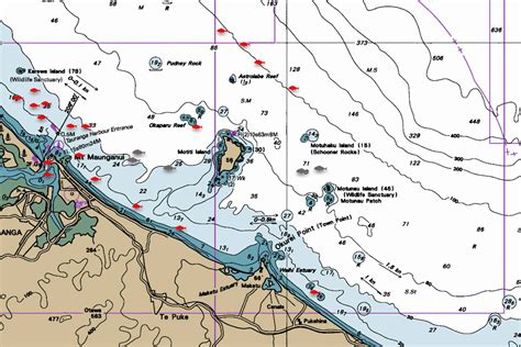 Fishing Report for Bay of Plenty: 26 July